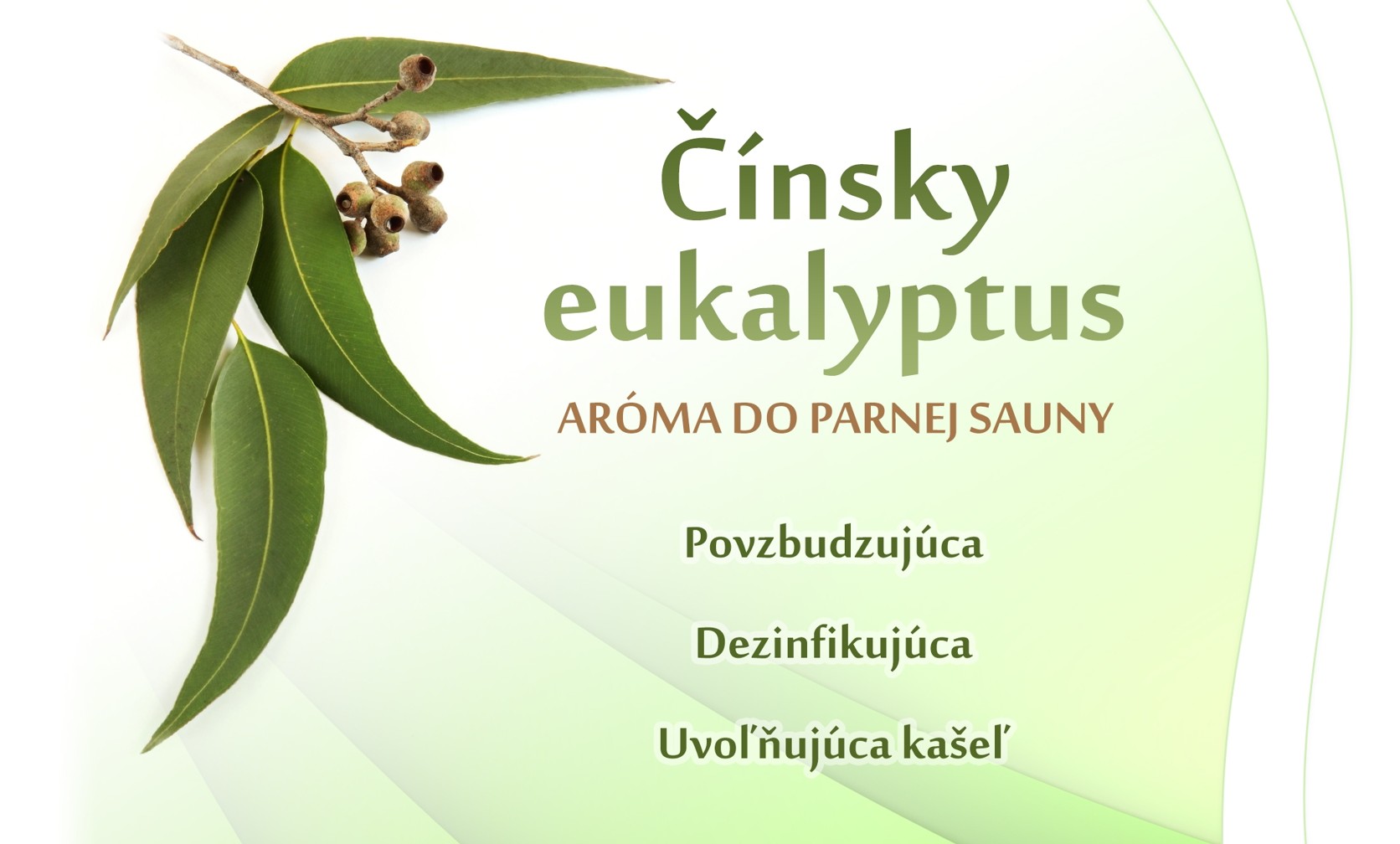 Čínsky eukaliptus - parná sauna