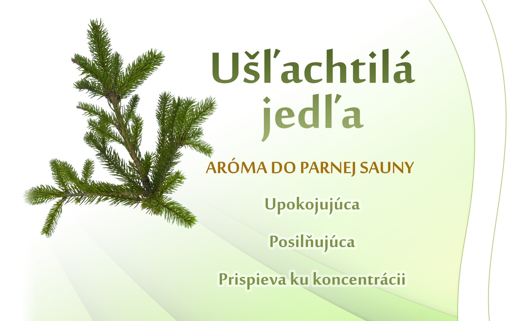 Jedľa - parná sauna